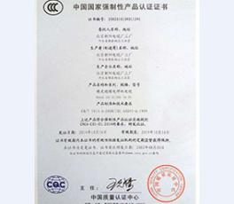 **强制性产品 证书1
